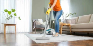 cleaning tools singapore home