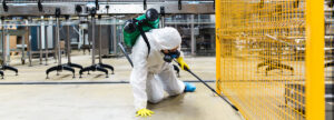 commercial pest control singapore