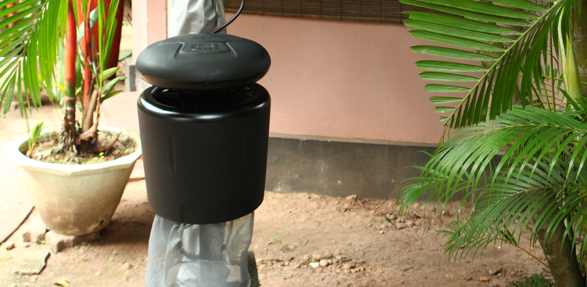 shampoo for dry scalp singapore