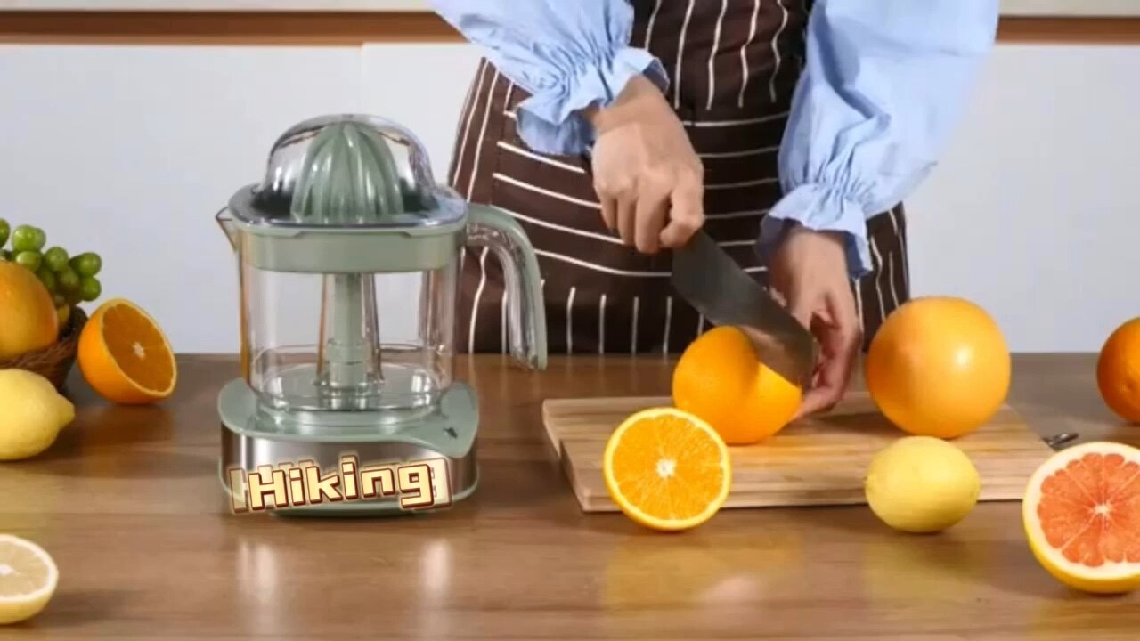 fruit juicer singapore
