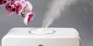 humidity control singapore home