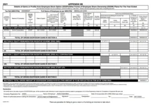 ir8a form 2021