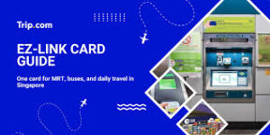 transport card singapore guide