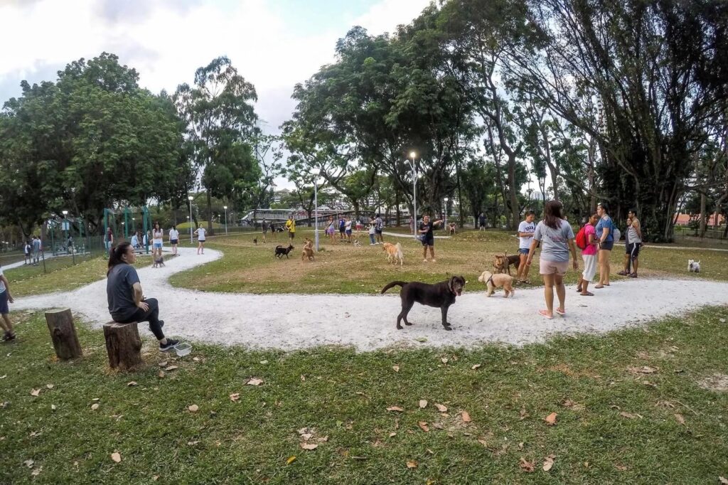 dog park singapore