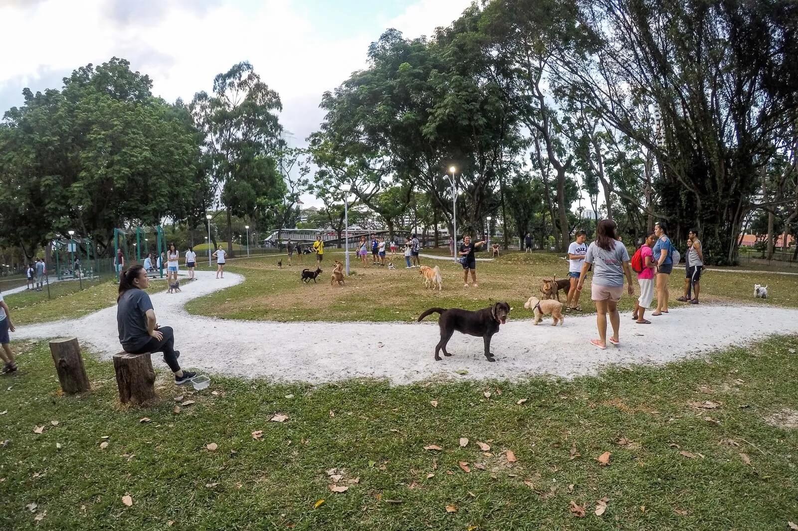 dog park singapore